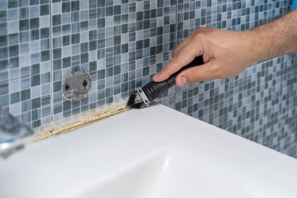 Best White Mold Remediation in Bentonville, AR